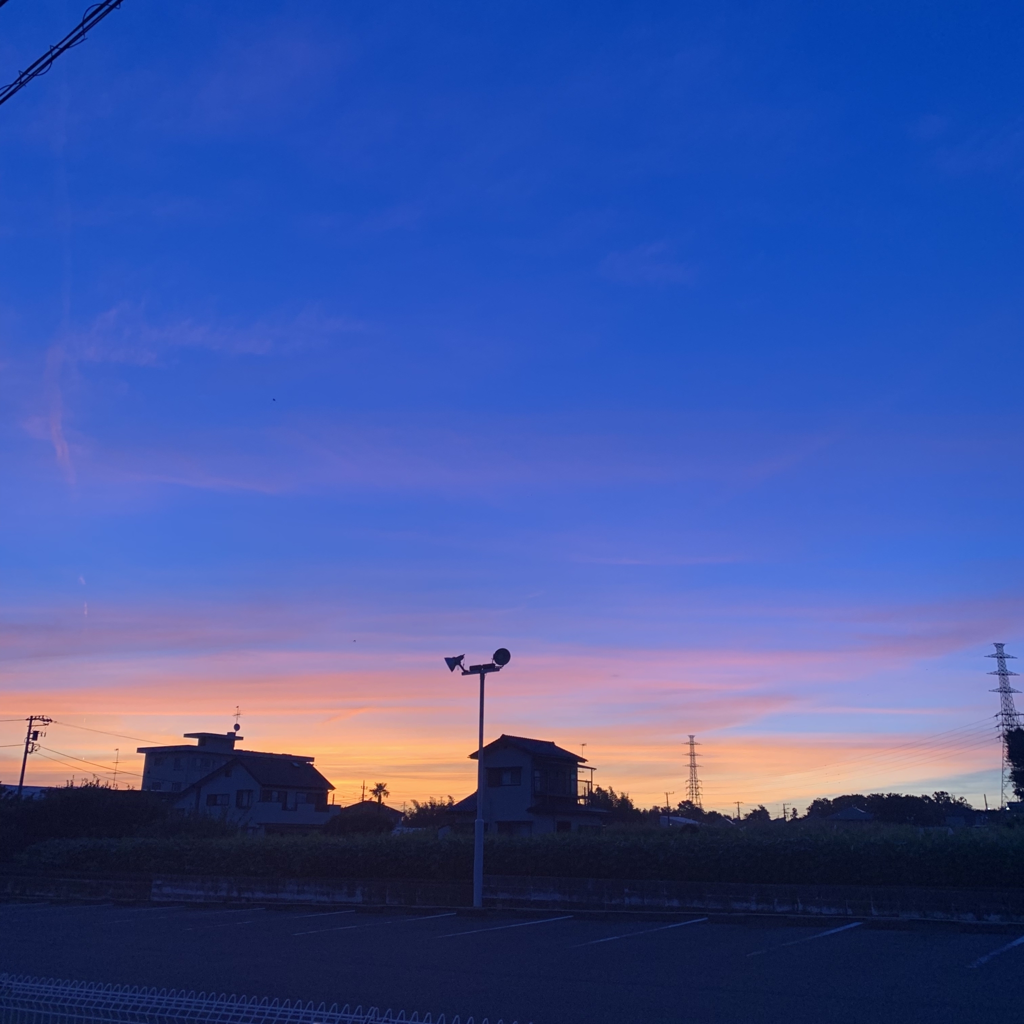 女性ホルモン活性化